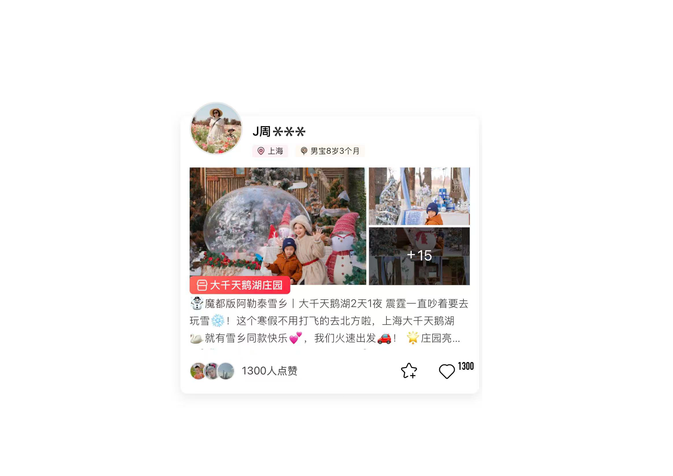 用户评价4